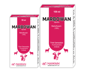 🐄💉 MARBOWAN Injection (Marbofloxacin 100mg) – Broad Spectrum Antibiotic for Cattle, Sheep & Goats | Nawan Labs | Maida Medicine