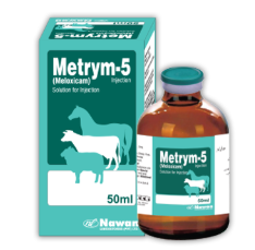 🐄💉 METRYM-5 Injection (Meloxicam) – Fast Pain & Inflammation Relief for Cattle & Horses | Nawan Labs | Maida Medicine