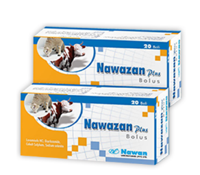 NAWAZAN PLUS BOLUS – Broad Spectrum Dewormer for Cattle & Sheep | Nawan Labs