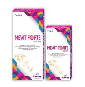 Buy NEVIT FORTE Injection – Available at Maida Medicine | Nawan Labs