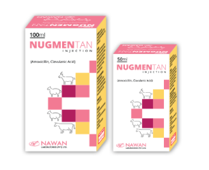 NUGMENTAN Injection – Available at Maida Medicine | Nawan Labs