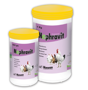 Nephravit Oral Powder – Nawan Labs | Maida Medicine Veterinary Store