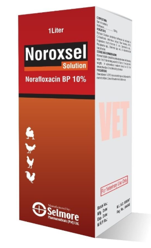 Noroxsel Solution for Poultry & Livestock | Broad Spectrum Antibiotic | Maida Medicine