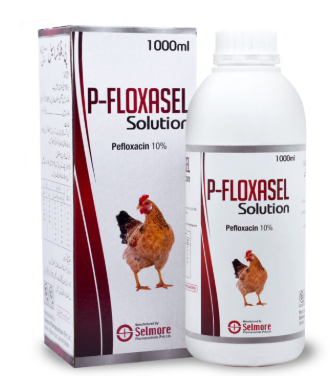 P-Floxasel Solution – Broad Spectrum Veterinary Antibiotic for Animals | Maida Medicine