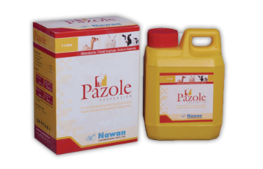 PAZOLE Suspension – Available at Maida Medicine | Nawan Labs