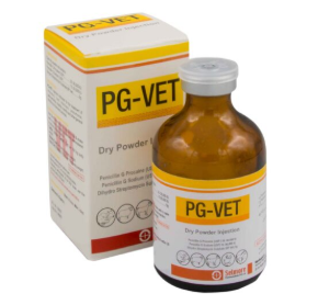 PG-Vet Injection – Veterinary Prostaglandin Injection for Animals | Maida Medicine