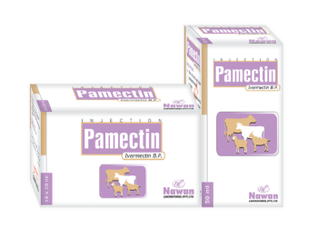 PAMECTIN Injection – Available at Maida Medicine | Nawan Labs