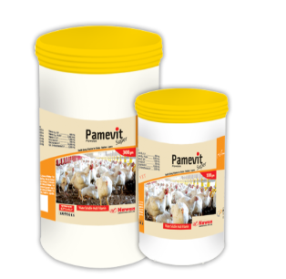 Pamevit Super Powder – Nawan Labs | Maida Medicine Veterinary Store