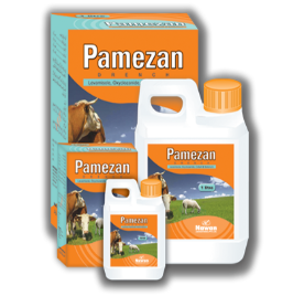 PAMEZAN Drench – Available at Maida Medicine | Nawan Labs