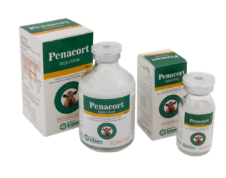 Penacort Injection – Veterinary Anti-Inflammatory & Corticosteroid Injection for Animals | Maida Medicine