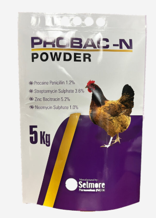 Probac-N Powder – Veterinary Probiotic Supplement for Animals | Maida Medicine