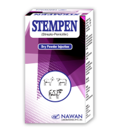 STEMPEN Injection – Maida Medicine | Nawan Labs Veterinary Product