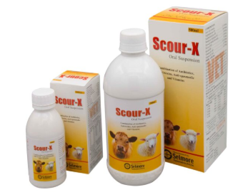 Scour-X Oral Suspension – Veterinary Anti-Diarrheal for Calves, Lambs & Kids | Maida Medicine