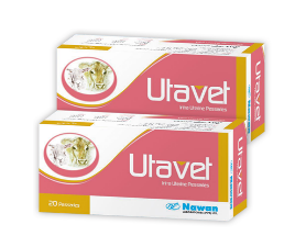 UTAVET Uterine Pessaries – Maida Medicine | Nawan Labs Veterinary Products
