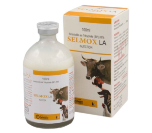Selmox LA Injection – Long Acting Broad Spectrum Antibiotic for Animals 💉🐄