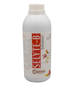 Selyte-B Solution – Electrolyte & Vitamin B-Complex Oral Solution for Animals | Maida Medicine 🧃🐄