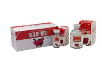 💉 Solopred Injection – Powerful Corticosteroid & Anti-Inflammatory for Animals | Maida Medicine