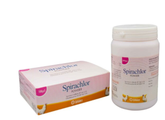 Spirachlor Powder – Broad Spectrum Antibiotic Powder for Poultry | Maida Medicine 🐔💊