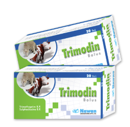Trimodin Bolus – Maida Medicine | Nawan Labs Veterinary Product