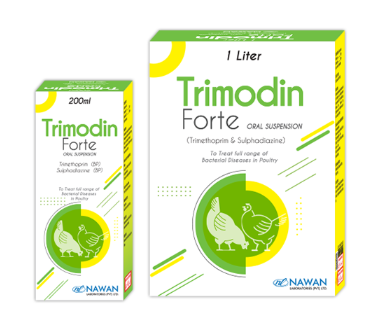 Trimodin Forte Oral Suspension – Nawan Labs | Maida Medicine Veterinary Store