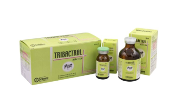 Tribactral Injection – Broad Spectrum Antibiotic for Livestock & Poultry | Maida Medicine