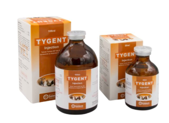 Tygent Injection | Broad Spectrum Veterinary Antibiotic – Maida Medicine 💉🐄