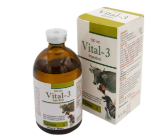Vital-3 Injection – Veterinary Multivitamin Injection