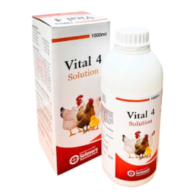 Vital 4 Solution – Powerful Veterinary Multivitamin Tonic | Maida Medicine