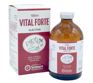 Vital Forte Injection | Maida Medicine – Veterinary Health Booster 🐄🐑🐐🐔