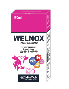 WELNOX Injection – Veterinary Medicine by Nawan Labs | Available at Maida Medicine