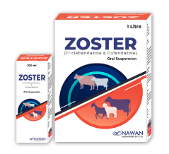Zoster Oral Suspension – Nawan Labs | Available at Maida Medicine