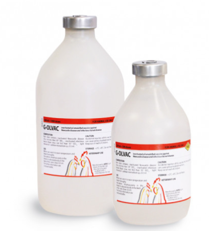 G‑OLVAC – Maida Medicine Veterinary Store | Trusted Brand for Animal Health
