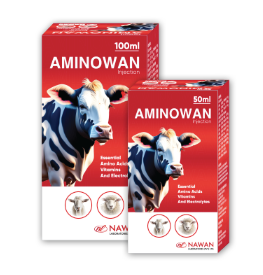 AMINOWAN Injection – Multivitamin Amino Acid Tonic for Animals | Nawan Labs | Maida Medicine 💉🐄🐑🐐🐎🐓